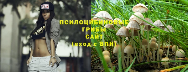Альфа ПВП Богородицк