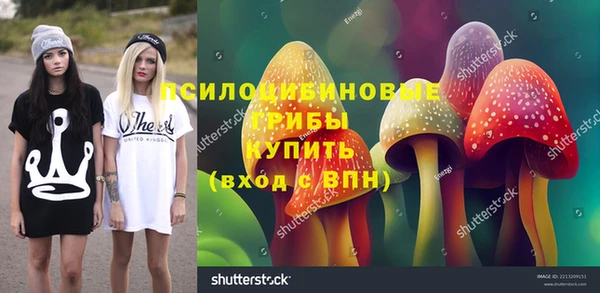 сатива Богородск