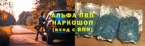 сатива Богородск